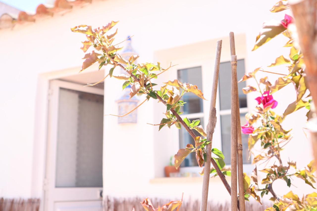 Salema Beach Private Villa エクステリア 写真